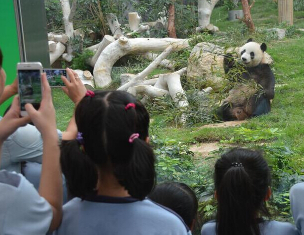 �������Ͱ�����һ�Դ���è���ࡱ