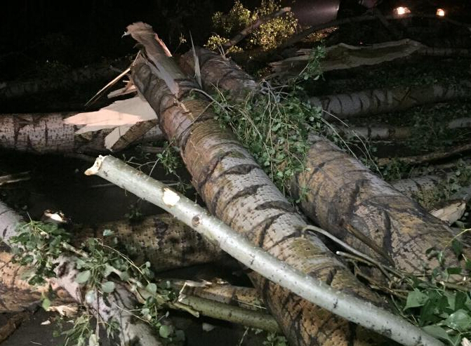 �������Ⱪ����Ϯ�� ��ʮ���������۶ϡ�