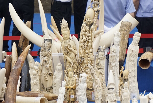 ʵ�����ٷǷ���������Ʒ��רҵ�����ǿ������ ����ʱ����1Сʱ��