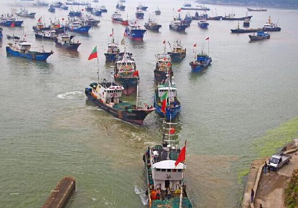 �����ƺ��������������������ڡ�