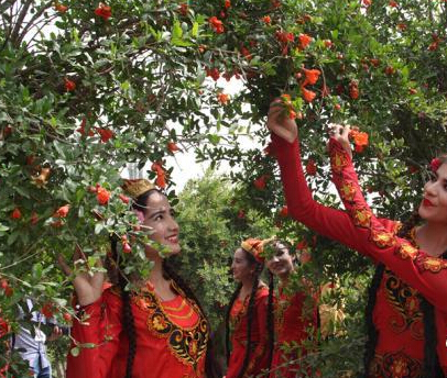 �½�Ҷ�Ǿٰ�ھŽ�ʯ�񻨽ڡ�