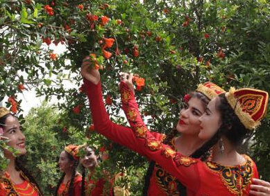 �½�Ҷ�Ǿٰ�ھŽ�ʯ�񻨽ڡ�