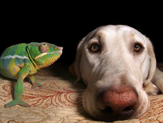 ����������Ȯ���ɫ�������� �����Ѱ���