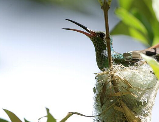 �����ľ�����β������ů�� ���������³���