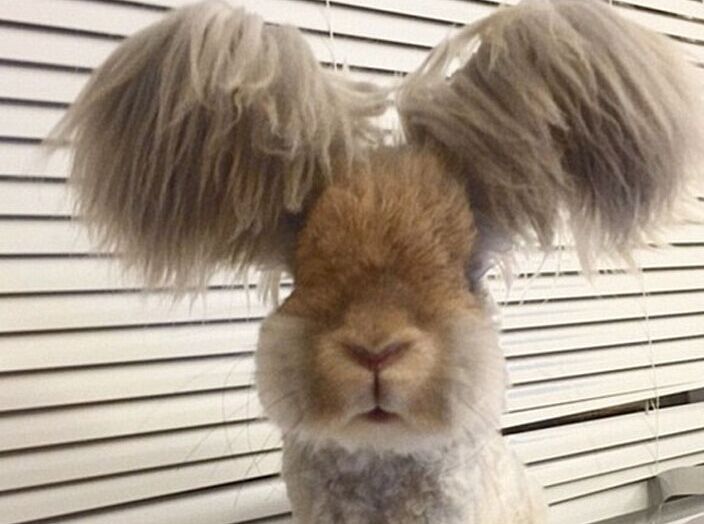 ����С�ÿɰ��з���ߺ����硱