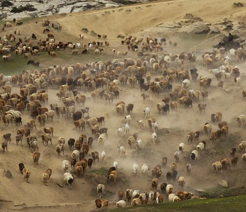 ��ͷ��¼�½�����̩����ţ���ļ���Ǩ�㡱