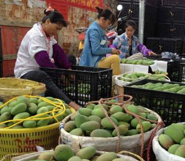 ������ɫâ��ͳһ�������� ���ھ��ۺ��ȳ����ƽ顱