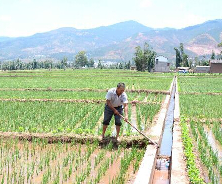 ����Ρɽȫ��Ͷ�뿹�����硱