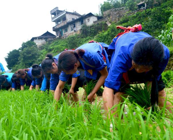 ������ʤ���С�����������ӭ��â��ʱ�ڡ�