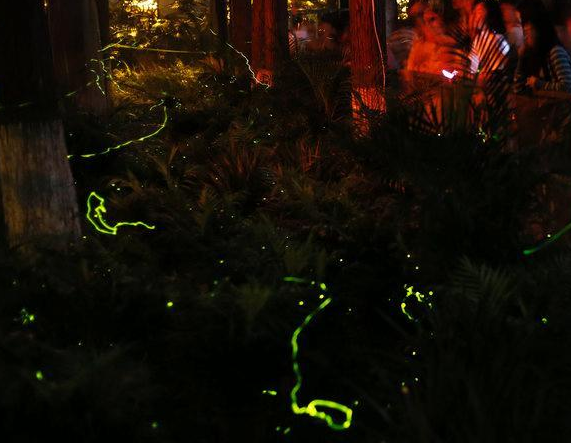 �人��������ֻө��� ����������͡�