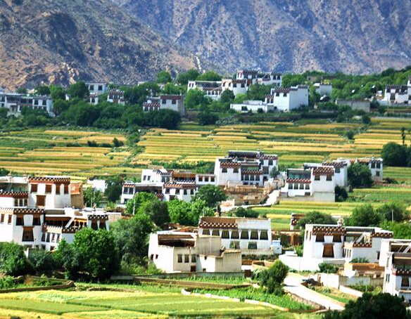 �Ĵ����β������˵���԰��⡱