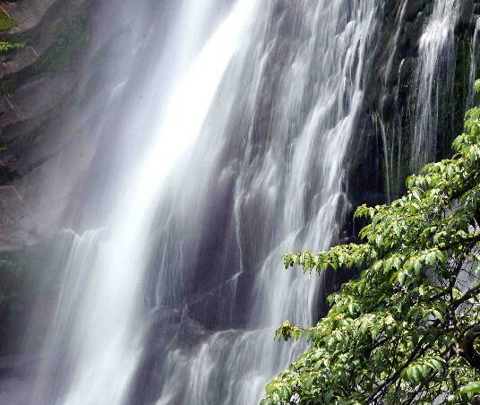 �������䣺����ɽǧ��կ��ɫ��