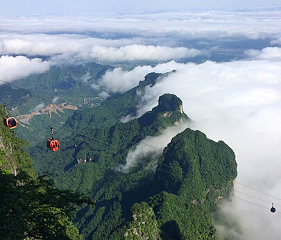 ��������żҽ�����ɽ�����ƶˡ�