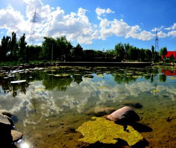 ������ʪ��ˮ����ӳ��ɫ����������