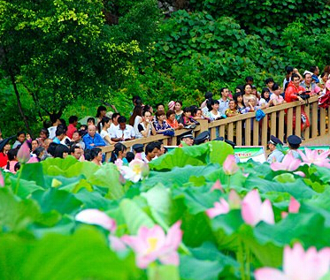 ��������ź֮�硱�ɻ����� �������ο͡�Χ�ۡ���