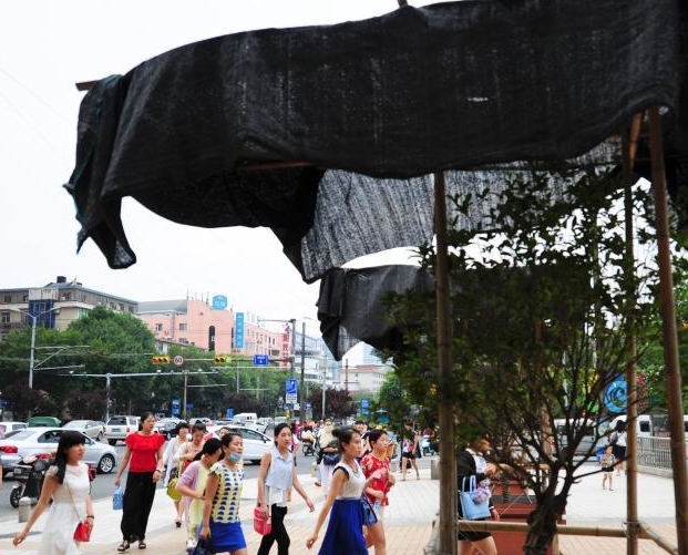 ���Ͻ�ͷ��ľ����ɡ�����ա�