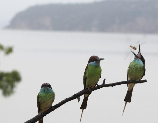 �����仢���۶�����ϡ�