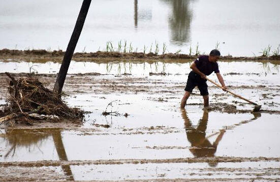 崇阳遭受连续暴雨山洪袭击”