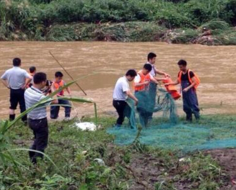 江西一公交车坠河致4人失踪 搜救工作持续进行”