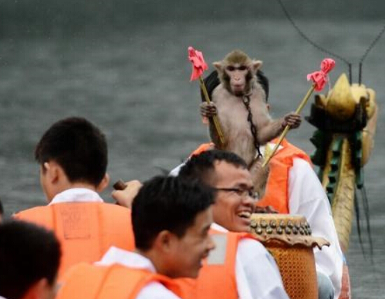 长沙公园举行古装龙舟拔河赛 聘“猴哥”当鼓手”