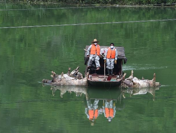 ��������֯��Ա����������