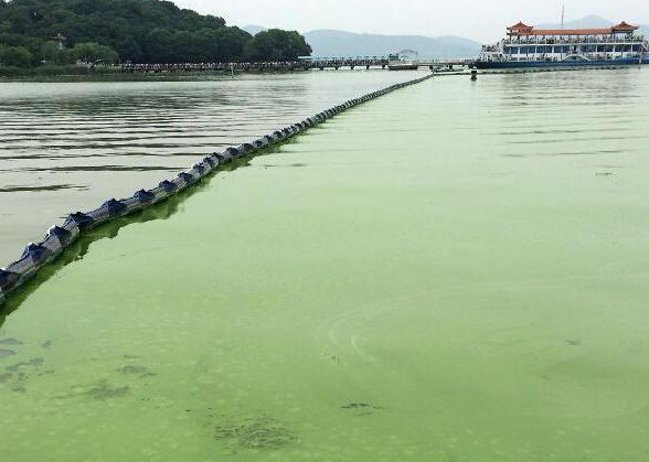 ̫���ִ������� ˮ����ͬ�����ᡱ