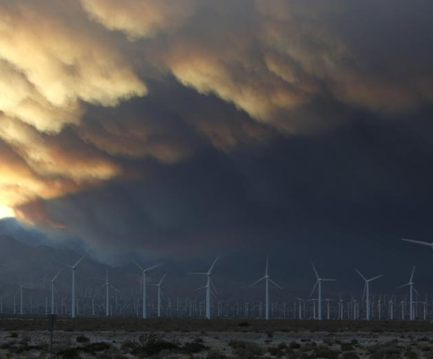 ������һɭ�ַ������� Ũ��������ա�