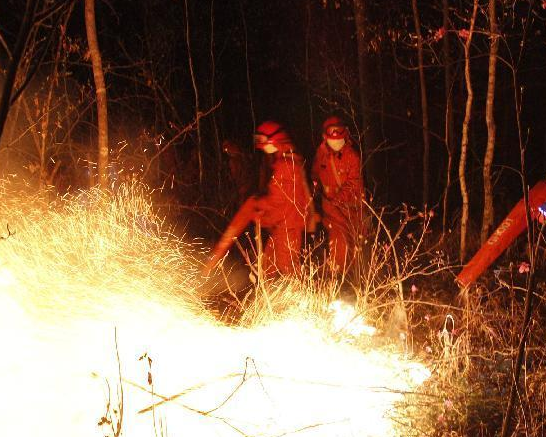 ���ɹŴ��˰��뷢��ɭ�ֻ��֡�