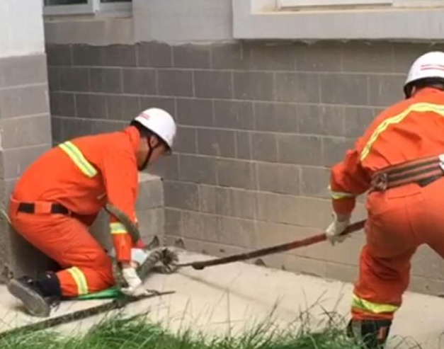 2�׳����ߴ������ʹ�һС�� ���ú�Ź���Ȼ��