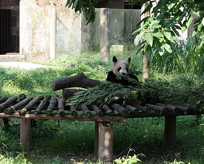 �������������������è���ܽӴ���