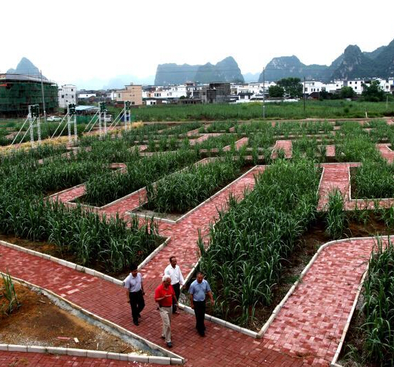 ̽�ù������Ჩ���Թ� ӵ��280��Ʒ�֡�