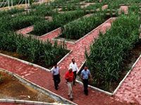 ̽�ù������Ჩ���Թ� ӵ��280��Ʒ�֡�