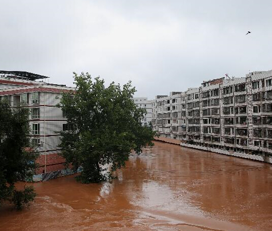 �Ĵ��ڽ���������Ϯ����