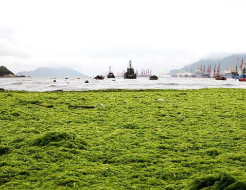 �̦��Ϯ���Ƹ� �������Ǵ��������̺����