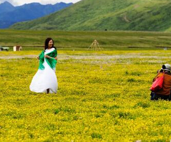 �Ĵ���ԭ��ľ�������������ˡ�