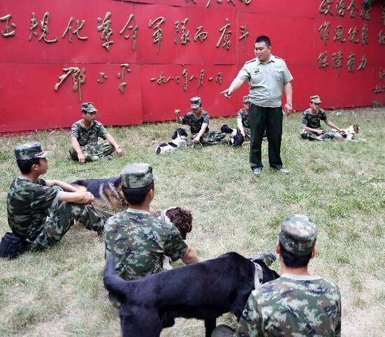 ��Ȯ���صġ�����������