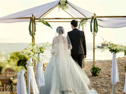 ����ʯ÷��27�������ٰ��������� �Ϻ���������ֱ����