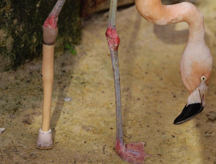 ��֫�����񿿼�֫����վ�� �������ϼ��һ����