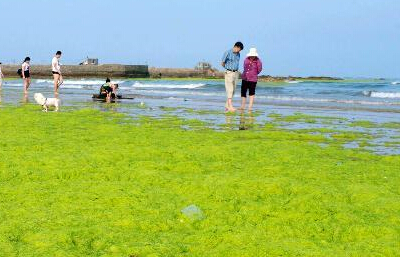 ɽ���ൺ���������̦��Ϯ��