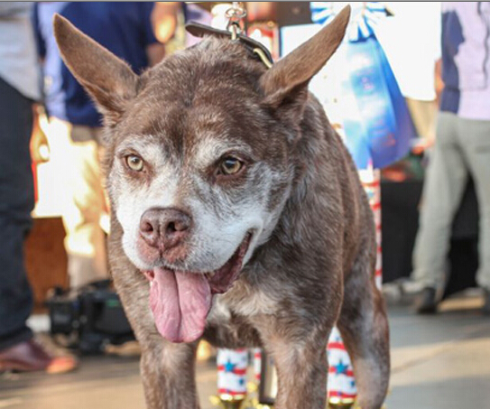 ��������󹷡������¹ھ����� ���ޡ����׿Խ����