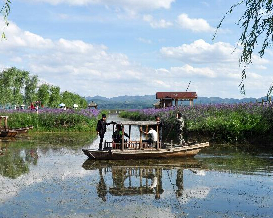 ���ݲݺ�ʪ����������