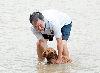 ����������ɣ�á�ģʽ ���������ˮ�б��