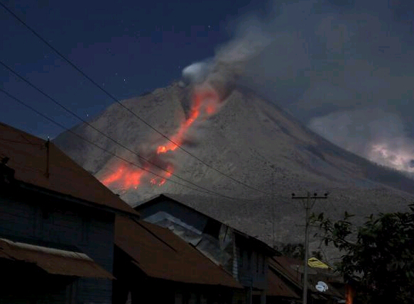 ӡ���������ɽ�緢 ����1�������ɢ��