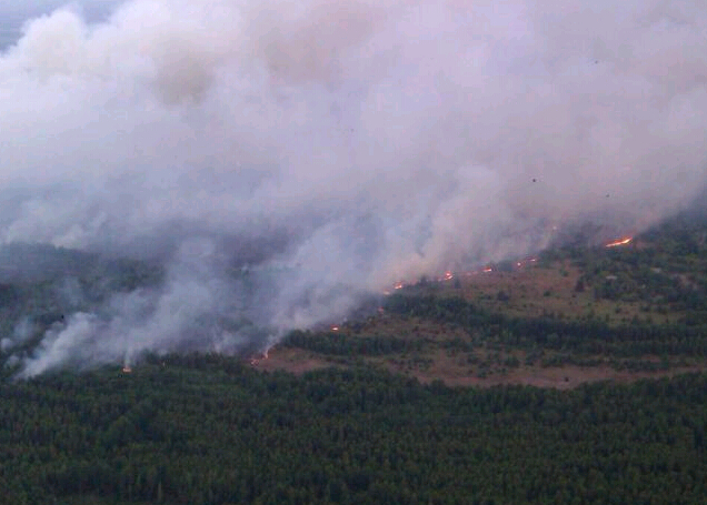 �ڿ����ж�ŵ�����ܱ�ɭ���������֡�