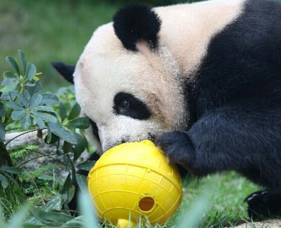 �������������ġ�����������¡�