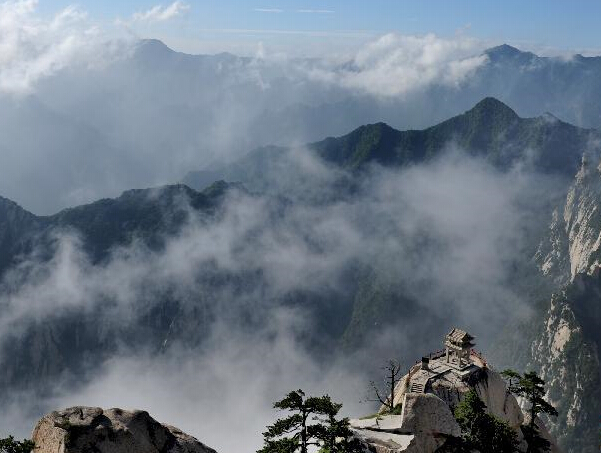 ������ɽ��Ʈ���̲����շ塱