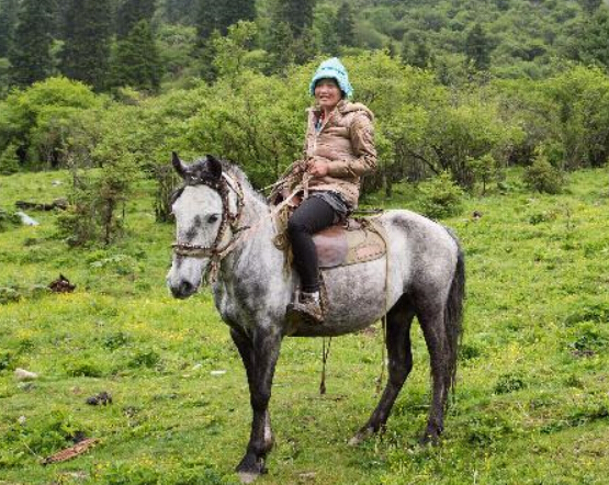 �ĵ���ű�ɽ��