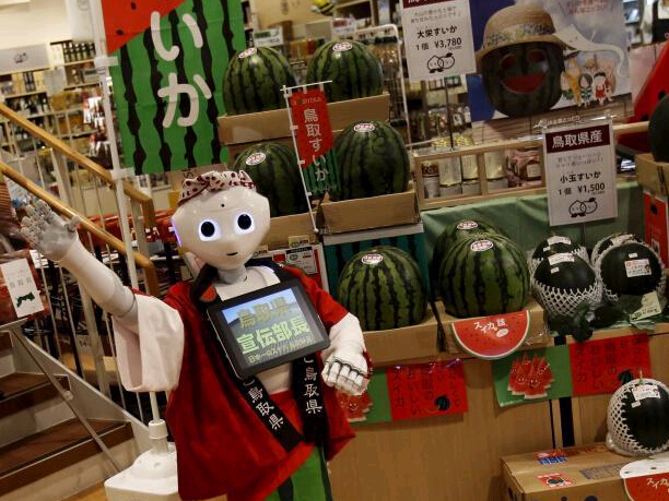 ������Pepper�������̾��� �д��˿���ģ������