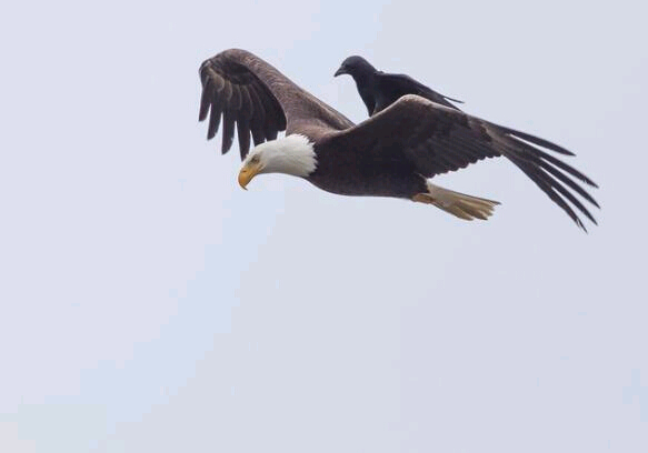 ��ѻ��ͺӥ˳�糵������ʡ�