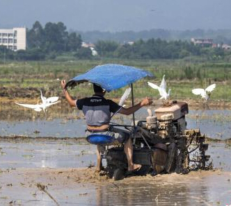 �������������������䡱